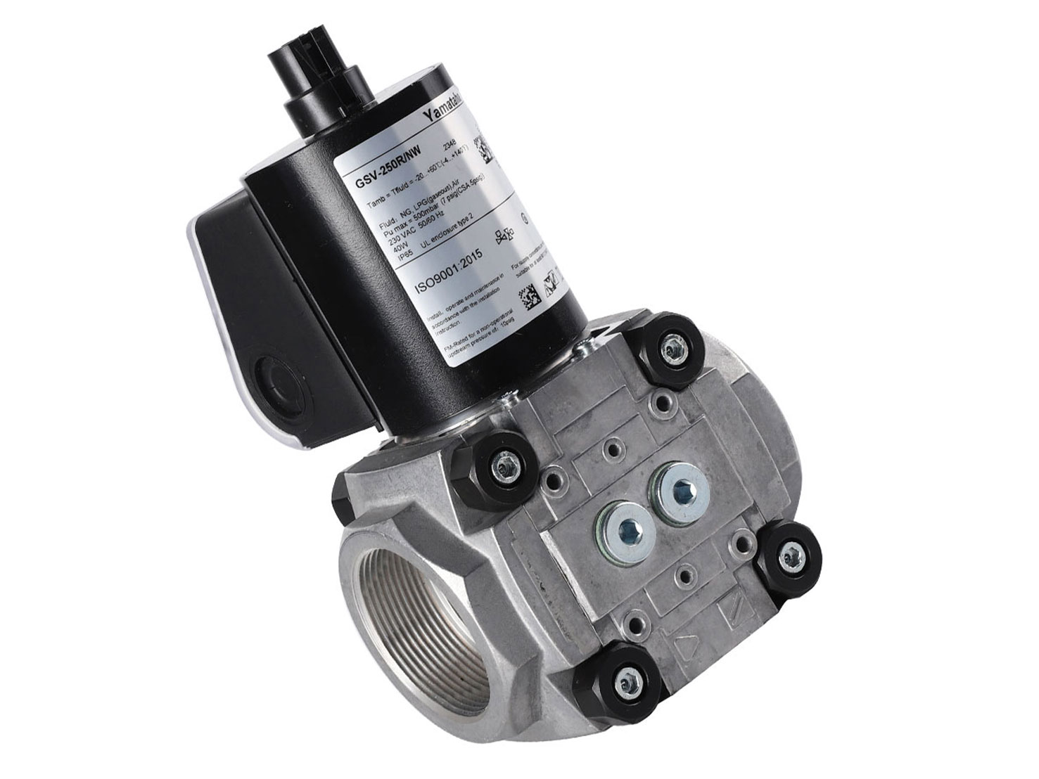 GSV-250R/NW (4)